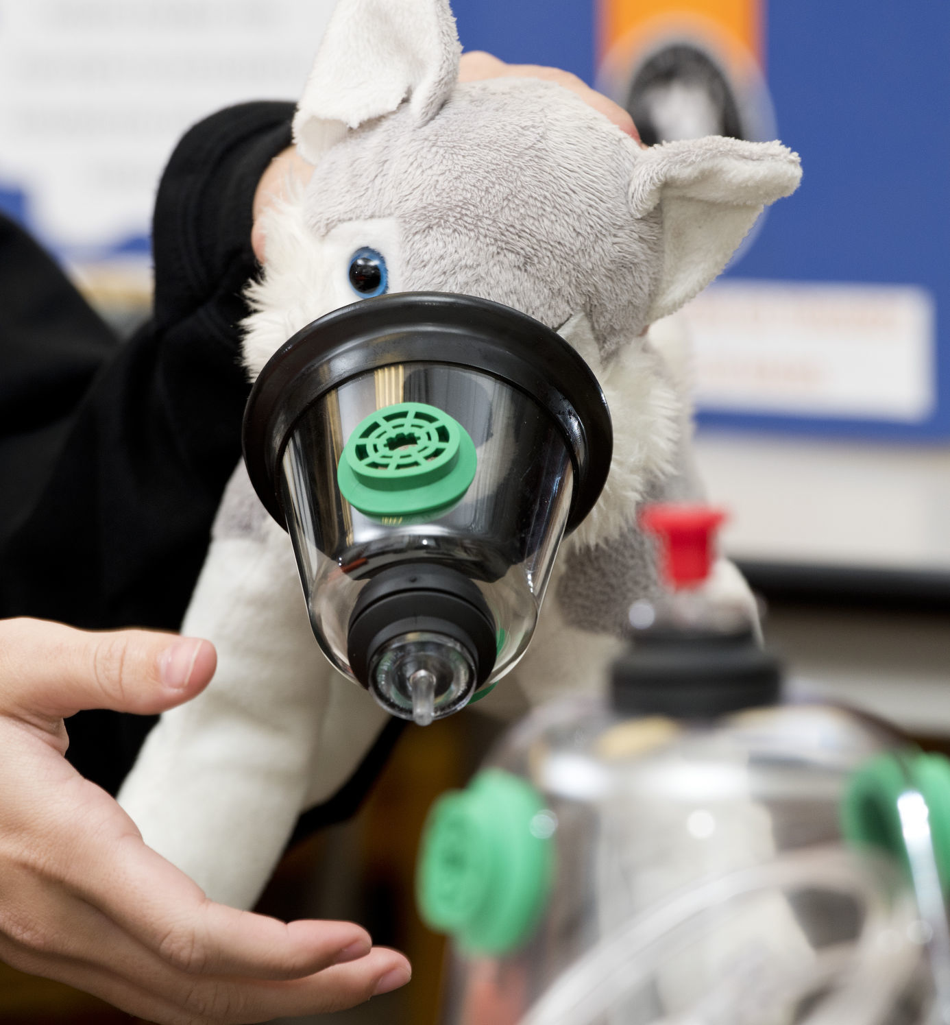 Pet oxygen masks